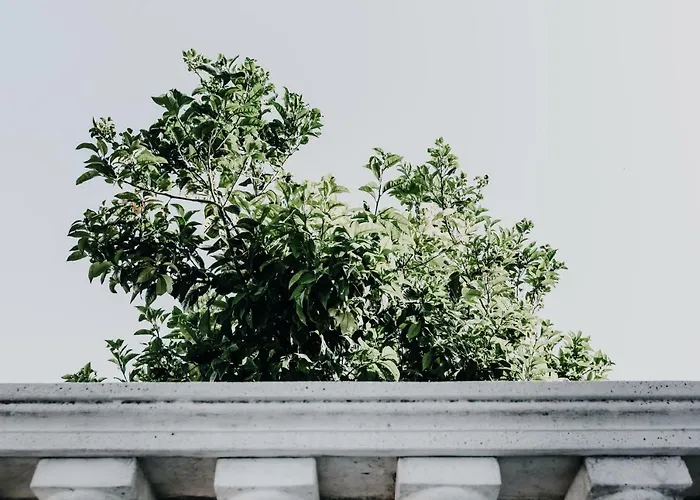 Secret Garden - & Vasto