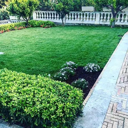 Secret Garden - &